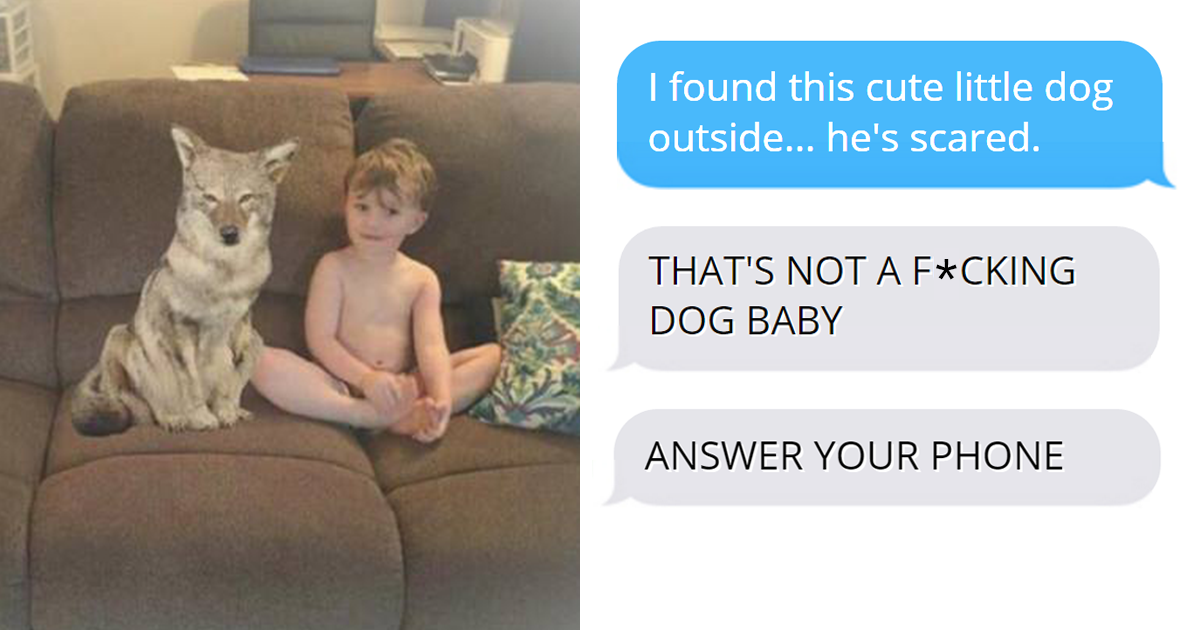 Wife Texts Her Husband Saying She Invited A Dog Home While The Pic Shows A Coyote, Meltdown Ensues