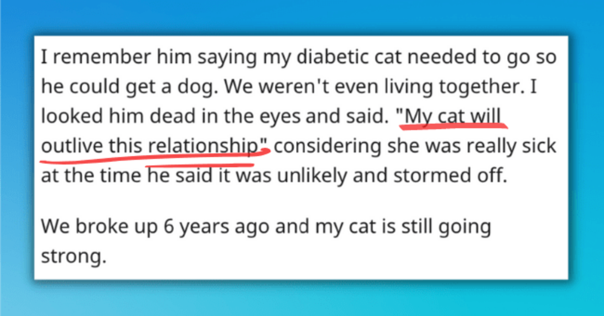People Share Their Stories Of Choosing Pets Over Exes And What Happened Next - grandgoldman.com