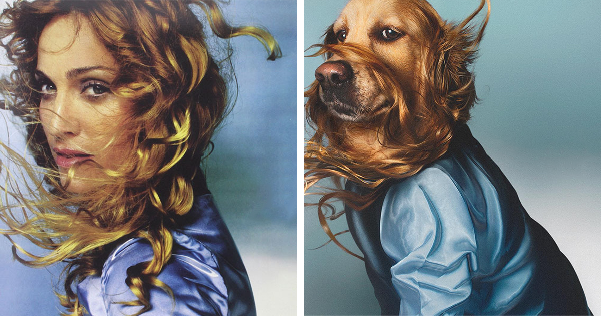 18 Iconic Images Of Madonna Recreated By A Dog Who Actually Outdid Her