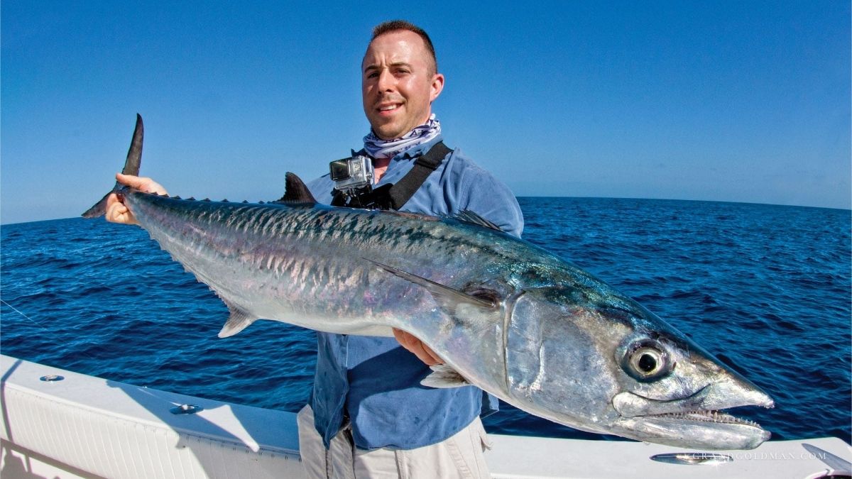 Fishing Calendar of Cancun Mexico: Guide to Year Round Angling Grand