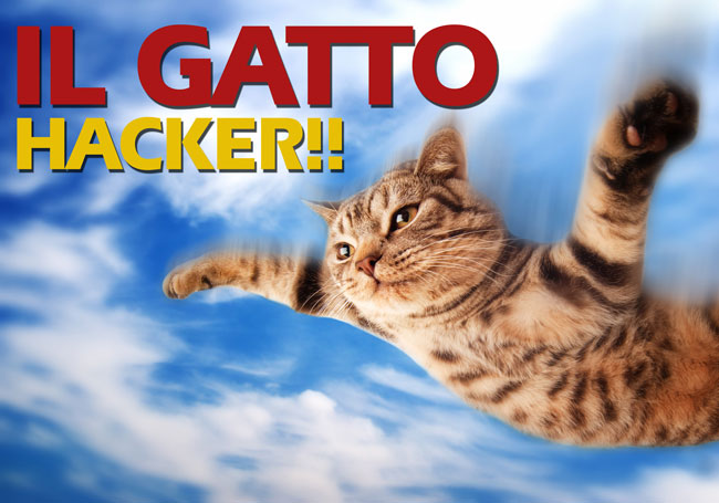 How to IKEA Hack Your Cat: 5 Genius DIY Projects