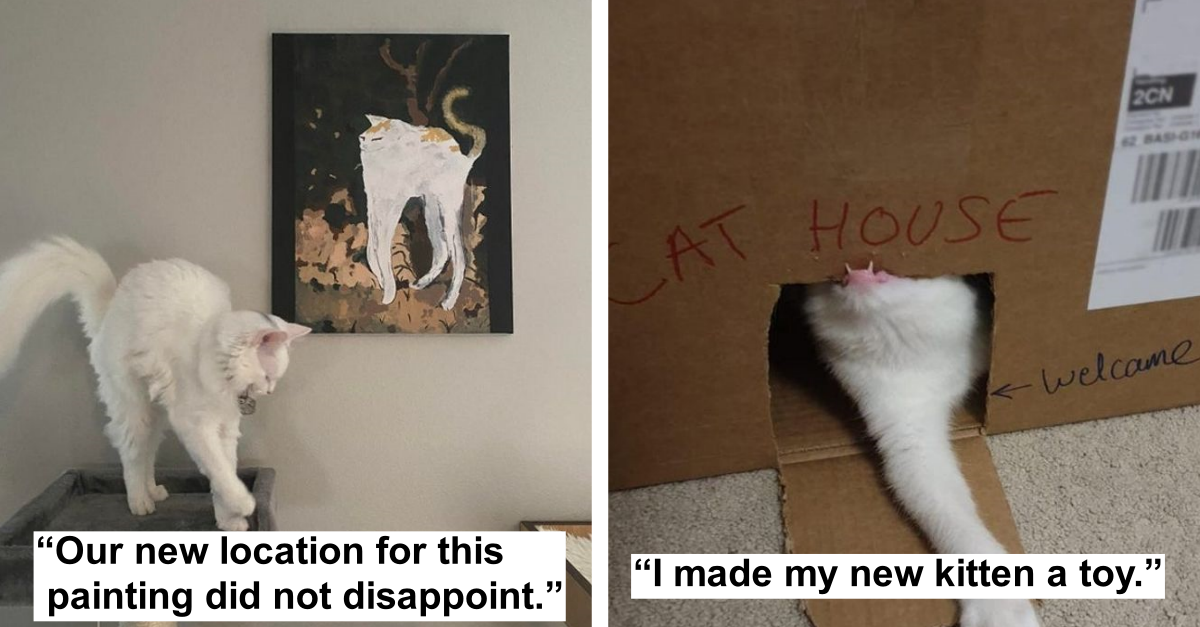 17 Times Owning Pets Was Like Being On A Comedy Show - grandgoldman.com