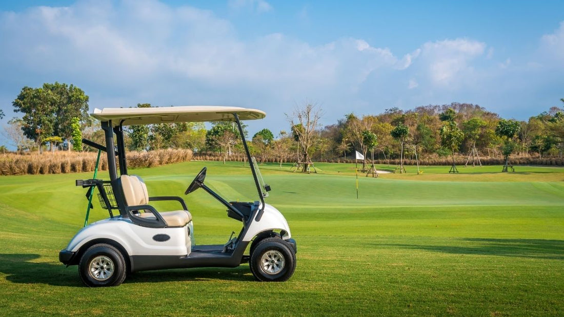How Much to Rent a Golf Cart - Grand Goldman