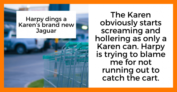 The Hilarious Supermarket Showdown: OP’s Encounter with Harpy and Karen