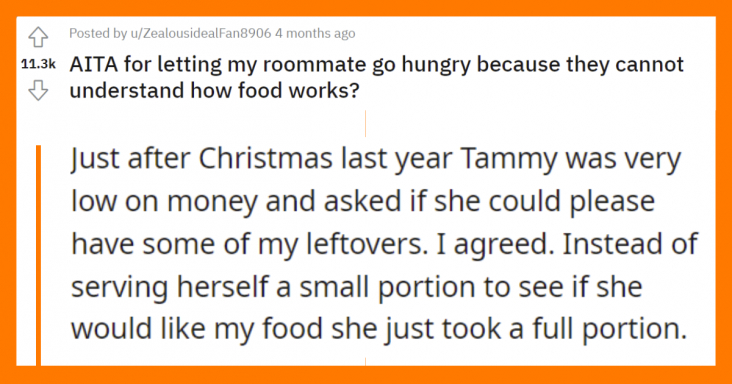 Redditor Asks If They Are Wrong For Letting Their Roommate Starve