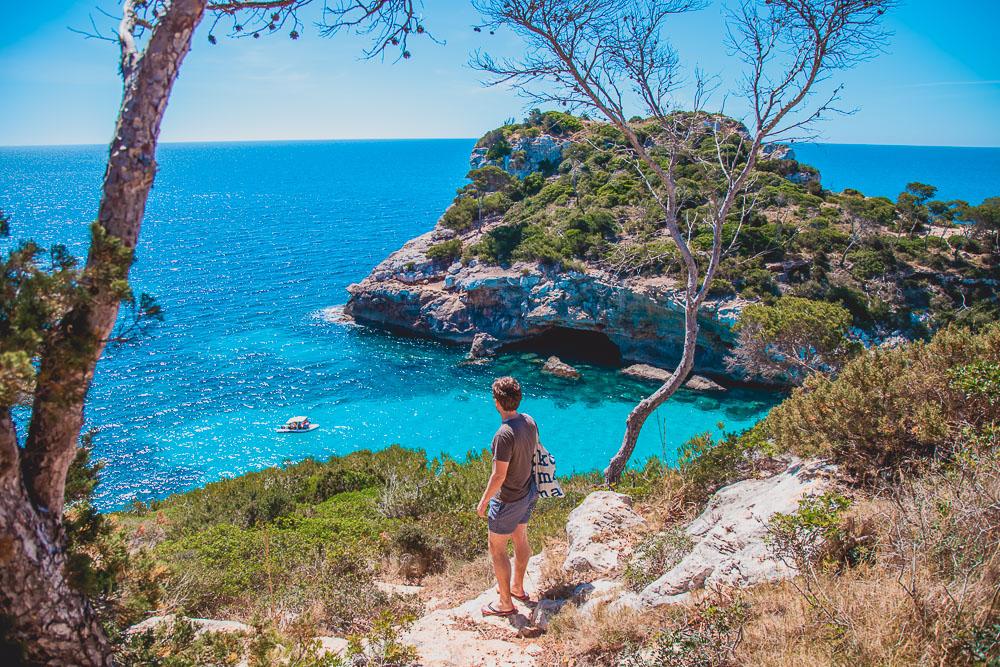 Travelers beware! Beware of the “rosemary scam” in Mallorca 