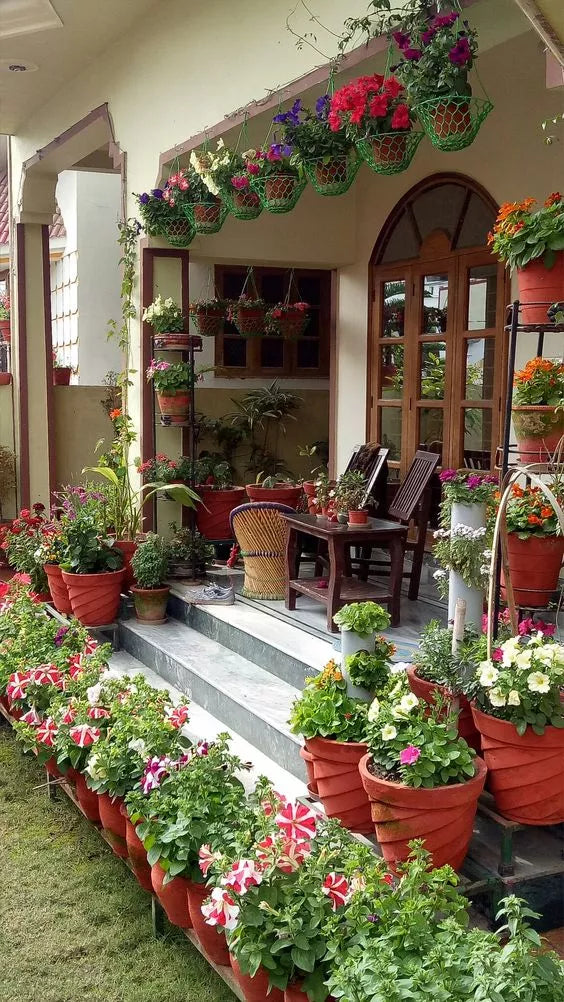 How to decorate your patio with pots and bushes - grandgoldman.com