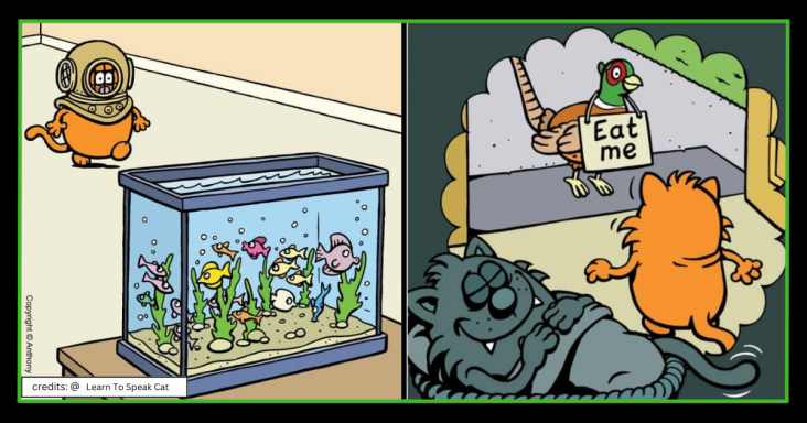 20 Hysterical Comics Depicting The Life Of Cat Owners With Their Cats - grandgoldman.com