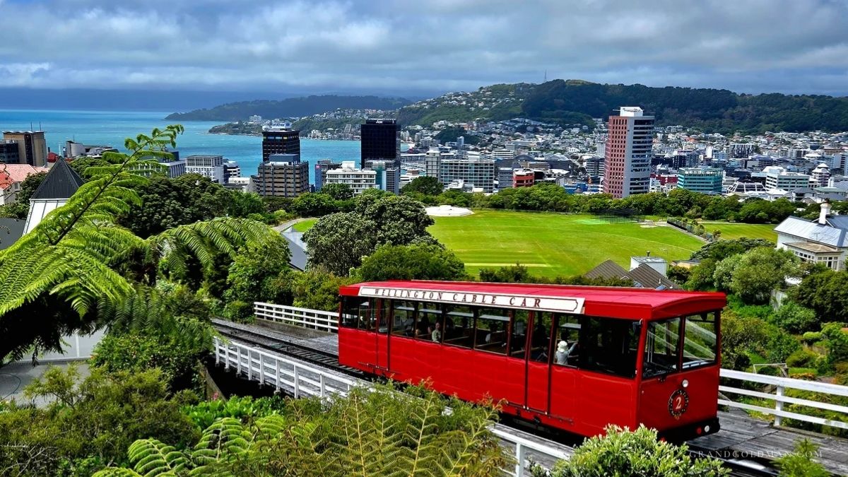 Learning English in New Zealand - Grand Goldman