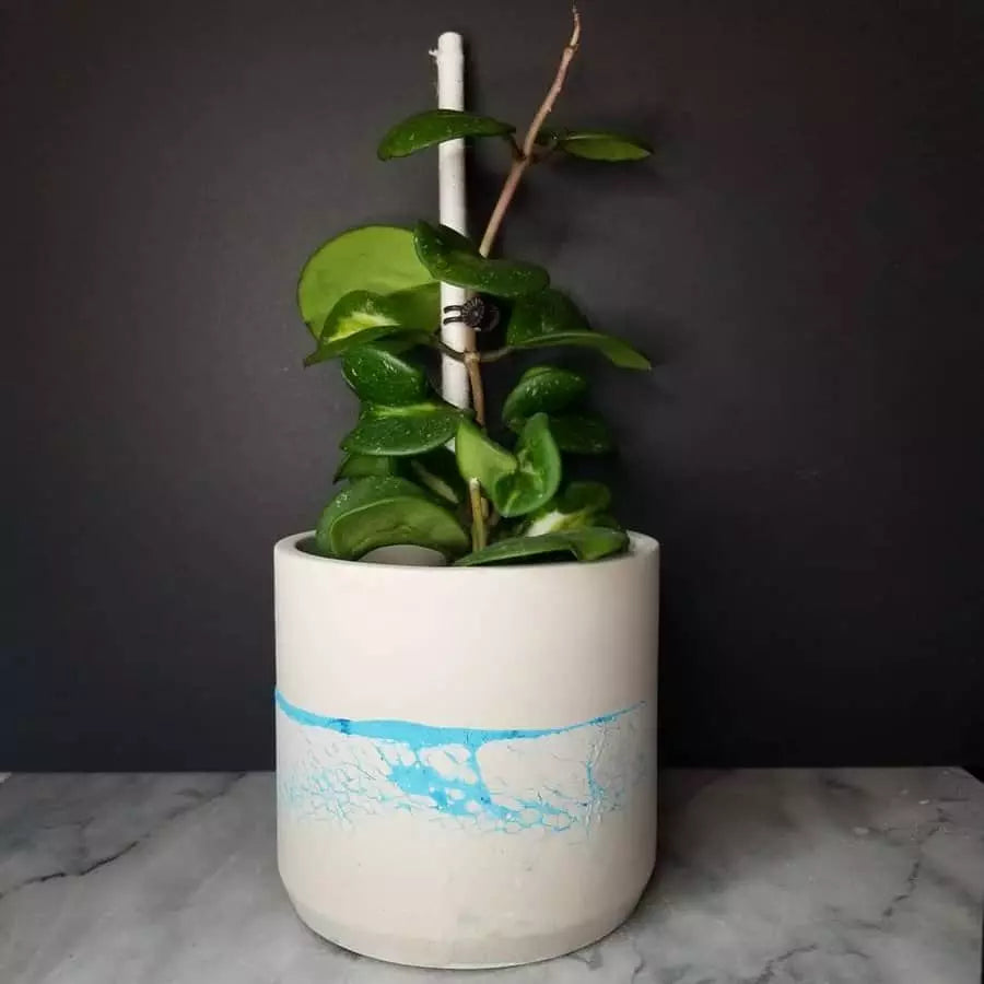 Creative Pot Ideas to Decorate the House - grandgoldman.com