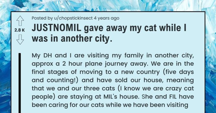 Mother-in-Law Gave Daughter-in-Law’s Cat Away Without Telling While She Was In Another City With Her Husband - grandgoldman.com