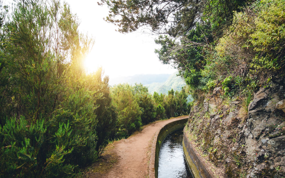 Hiking in Madeira – 7 of the most beautiful routes