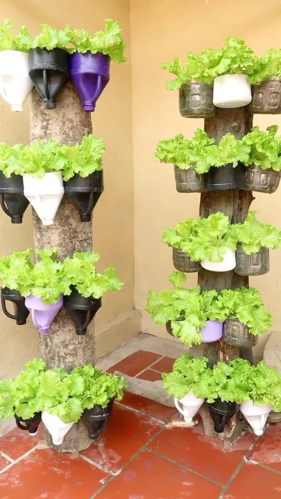 Ideas to Have an Orchard Garden - grandgoldman.com