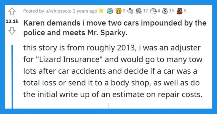 Karen Gets In Trouble For Wanting A Person To Move The Two Cars That Were Part Of Police Evidence - grandgoldman.com