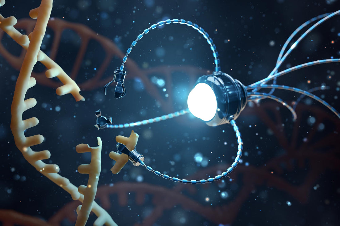 Nanotechnology DNA Robots Could Deliver Drugs and Hunt Viruses in Body - grandgoldman.com