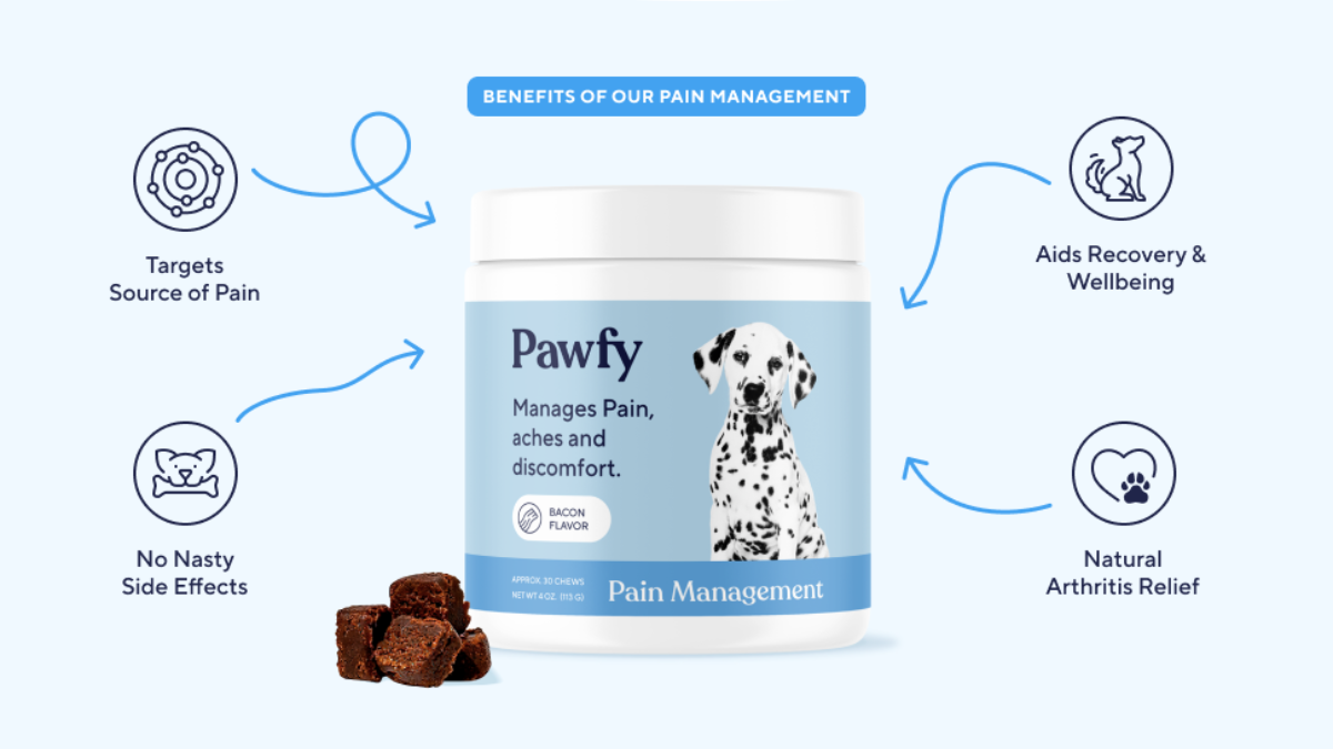 PAWFY Review: Interesting Pain Relief Soft Chews for Dogs 