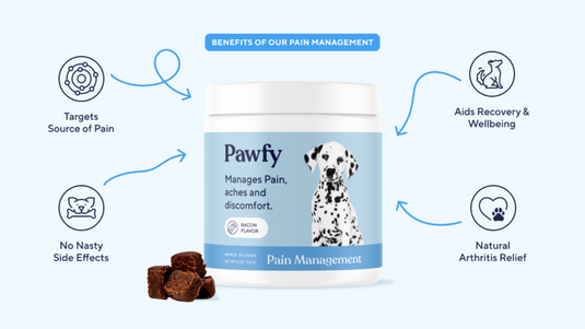 PAWFY Review: Interesting Pain Relief Soft Chews for Dogs (2024)