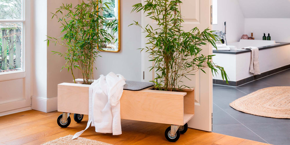DIY Rolling Bench with a Green Wellness Oasis