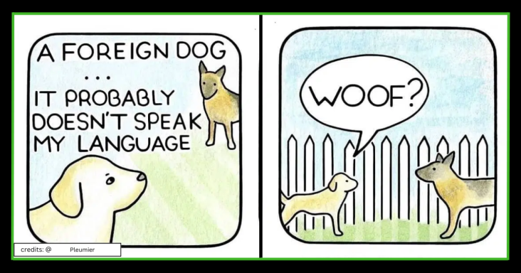 Biologist Hilariously Illustrates Life From Different Animal’s Perspective Through Comics - grandgoldman.com