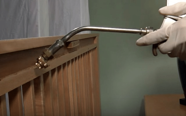 Health Risks of a Home Infestation: What You Need to Know