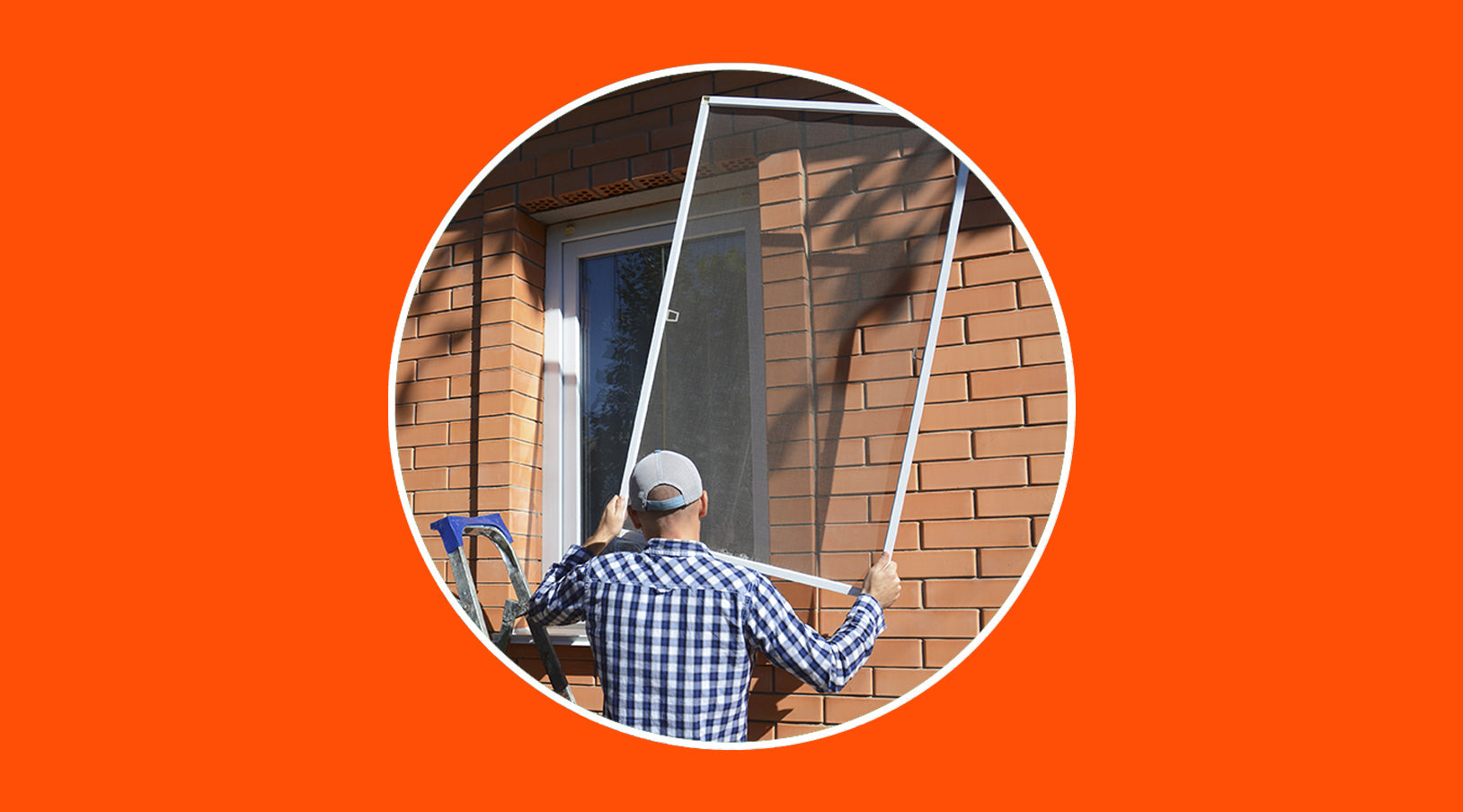 What security function do home mosquito nets fulfill? - grandgoldman.com