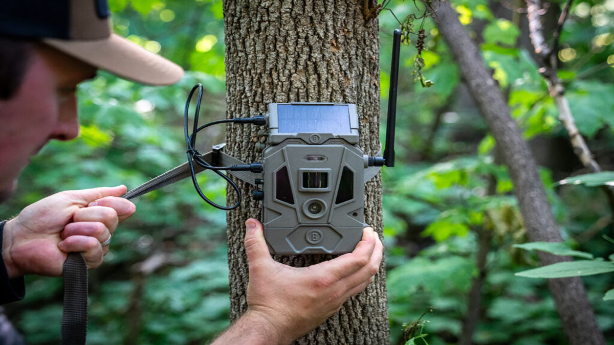 Best Cellular Trail Cameras -  Grand Goldman