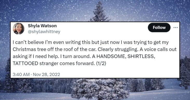 This Woman Had A Real World Christmas Movie Experience And It Is Truly Magical