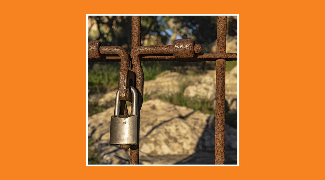 How to avoid theft in your country house: security tips - grandgoldman.com