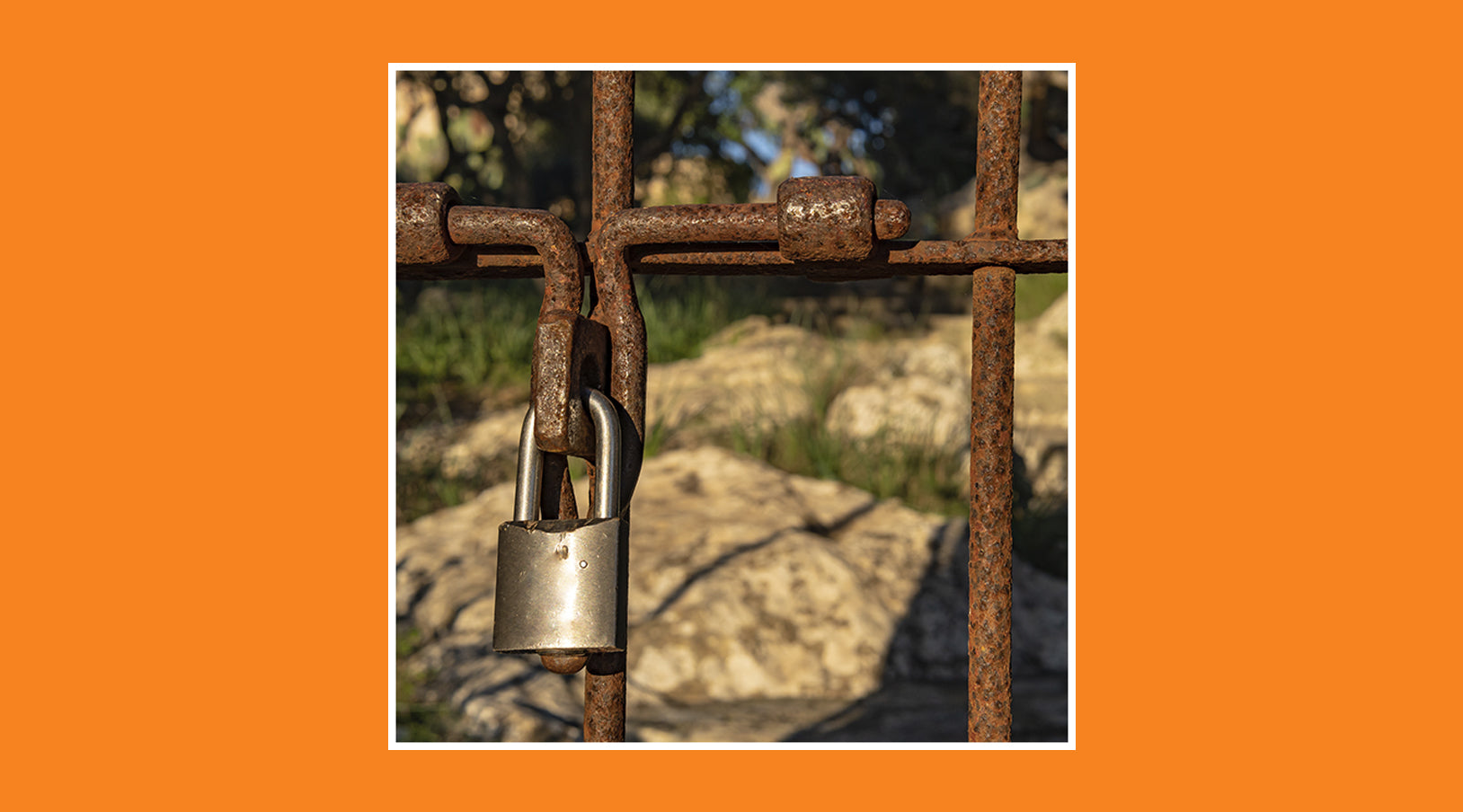 How to avoid theft in your country house: security tips - grandgoldman.com