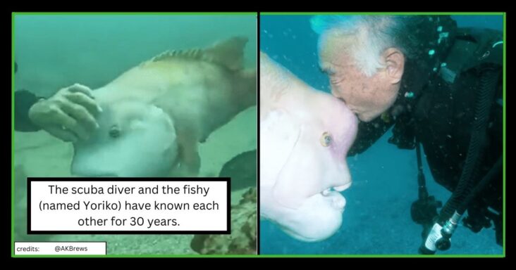 Cherish This 30 Year Old Friendship Between A Man And A Wild Fish