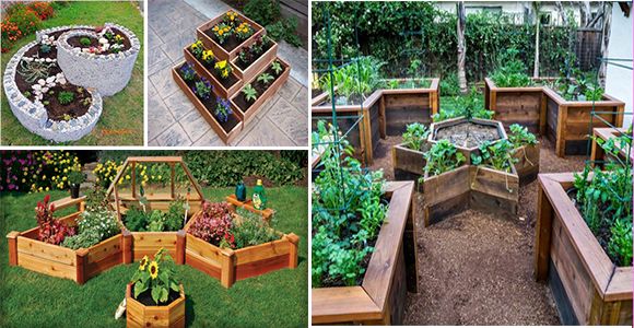 Build a Mini-garden in the garden and start growing plants and flowers! - grandgoldman.com