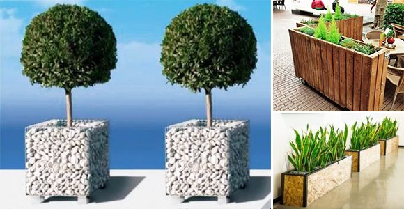 14 beautiful ideas to decorate the interior of your home using plants! - grandgoldman.com