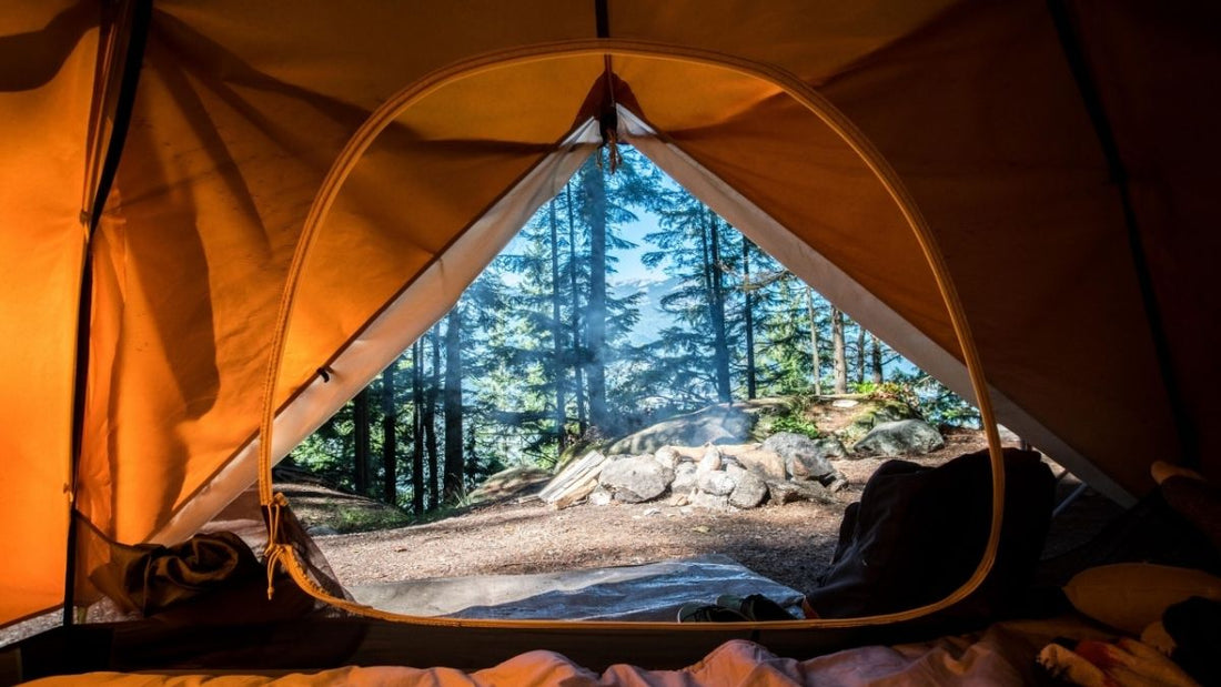 Stealth Camping Rules - Grand Goldman