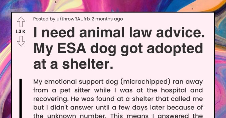 Dog Owner’s Emotionally Support Dog Ran Away And Gets Adopted A Shelter