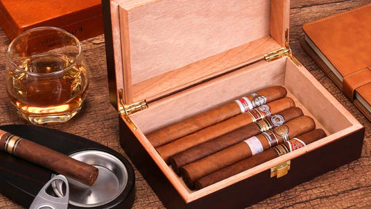 The Only 8 Best Travel Humidors for Cigars in 2024 (Reviews) Grand Goldman