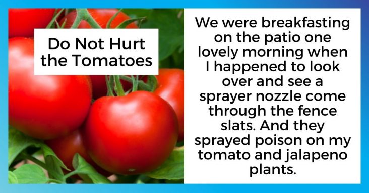 Marine Couple Poisons Neighbor’s Homegrown Tomatoes, She Releases Ants On Their House