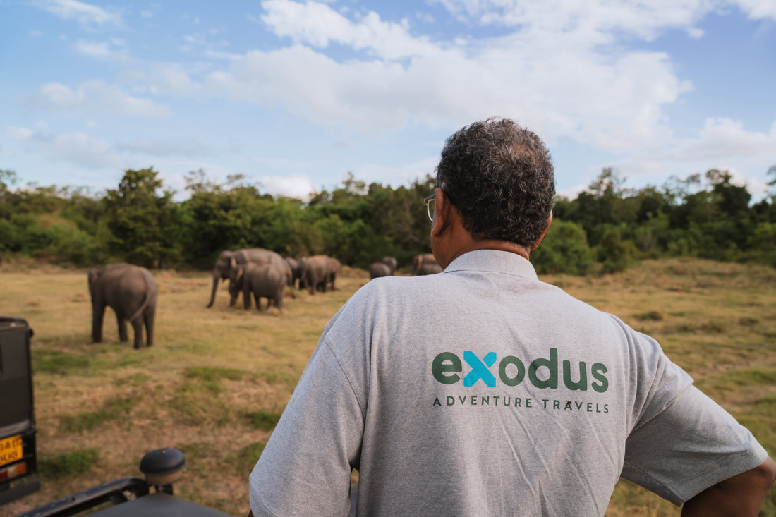 This place in Sri Lanka is still a real insider tip