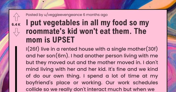 Roommate Puts Vegetable In All Her Meals She The Food Stealing Mother’s Kids Don’t Eat It - grandgoldman.com