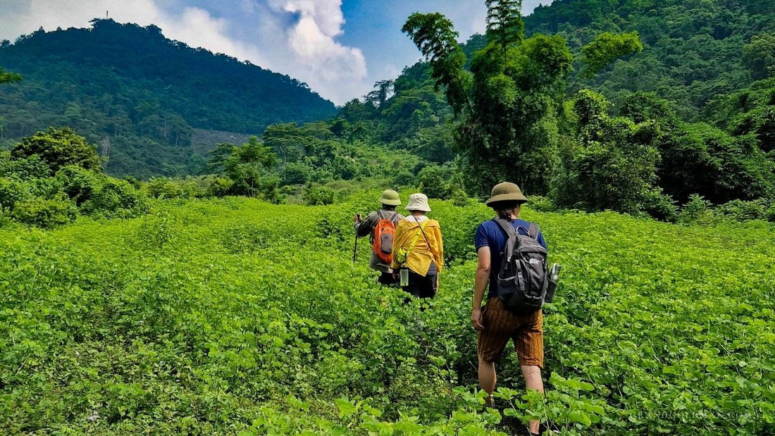 Vietnam Backpacking Travel Guide - Grand Goldman