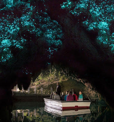 Why the Waitomo Caves in New Zealand glow