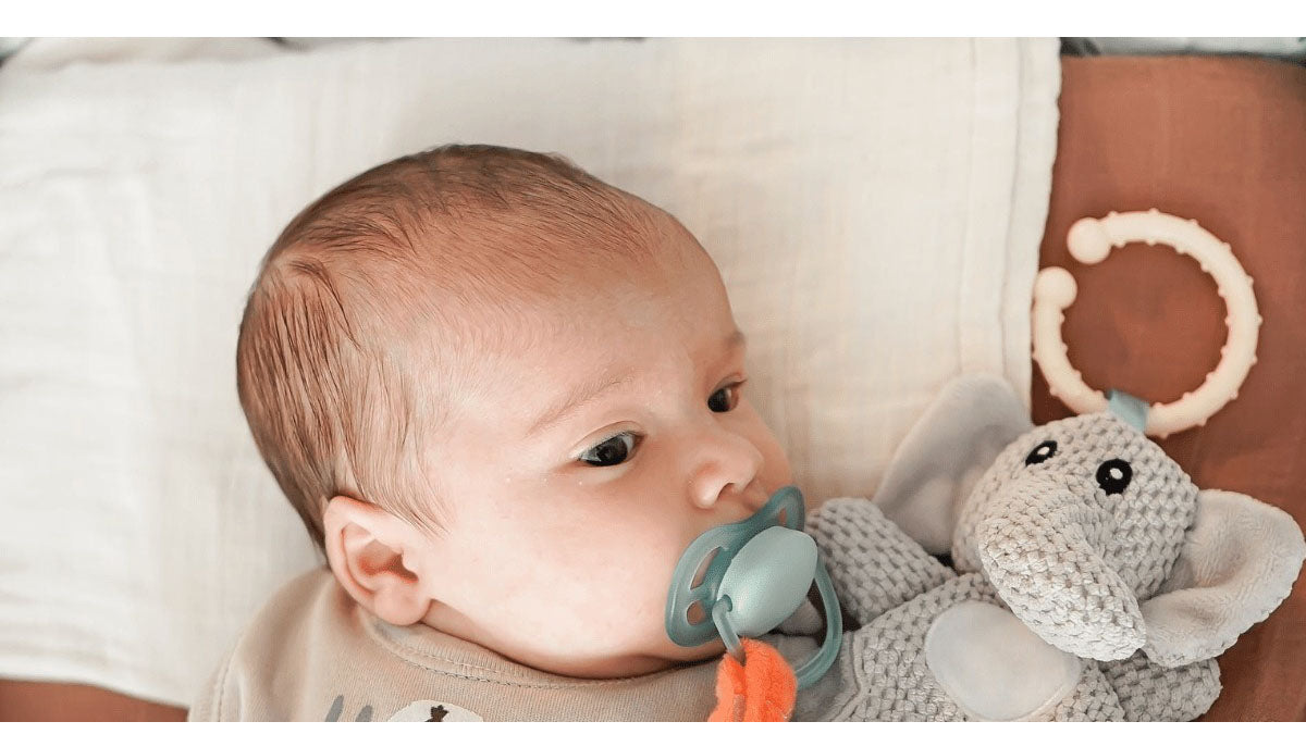 10 Best Pacifiers for Oral Development (Reviews) – Grand Goldman Best pacifiers for oral development