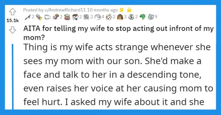 Redditor Asks If He Was Wrong To Tell His Wife To Stop “Acting Out” In Front Of His Mother
