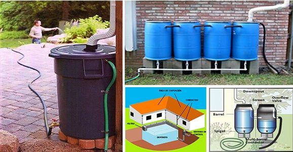 10 essential ideas to correctly use rainwater at home! - grandgoldman.com