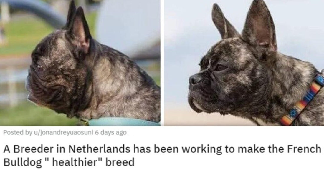 20 Animal Posts That Are Guaranteed To Make Your Day Better
