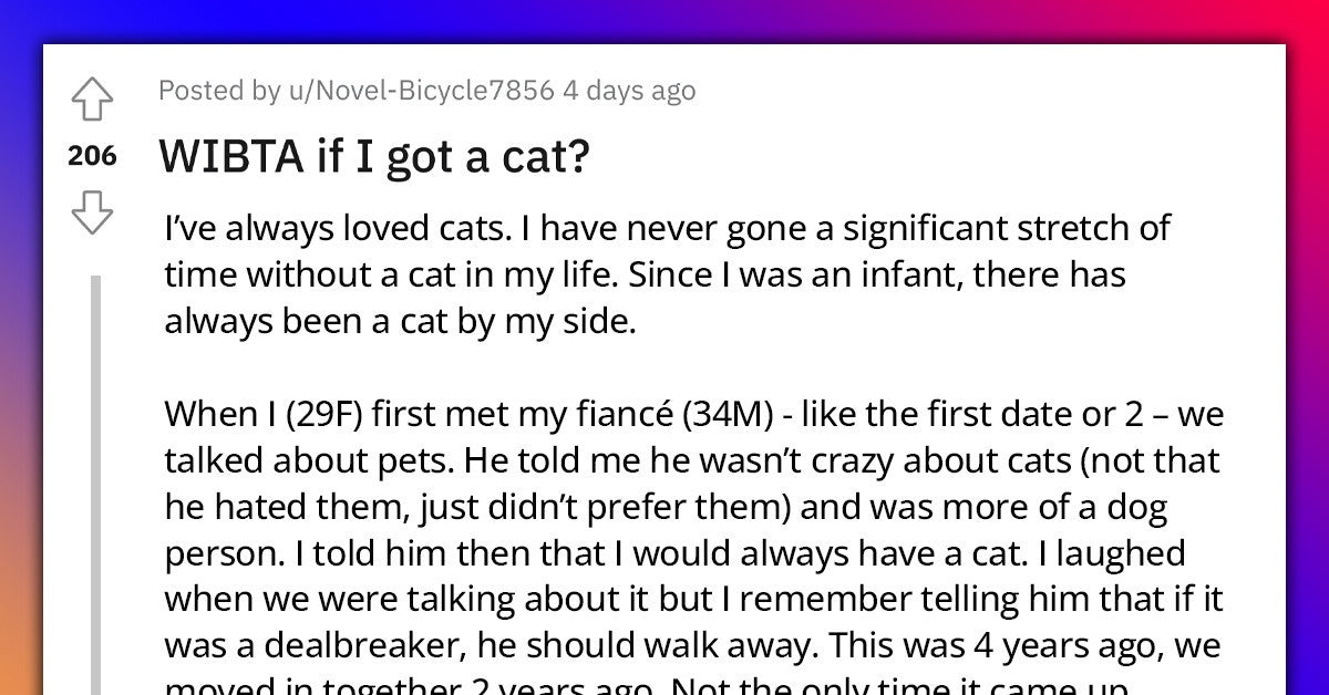Man Stops His Partner From Getting A Cat After Her Previous Cat Passed Away