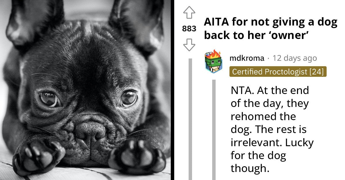 Woman Asks If She Is Wrong For Refusing To Give Her Co-Worker Her Dog Back