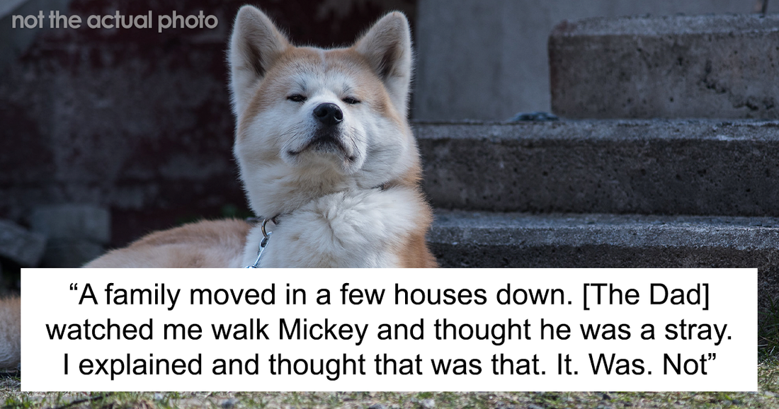 Neighbor Trespasses Into Woman’s Yard, Takes Her Dog And Gives It Away To Friend