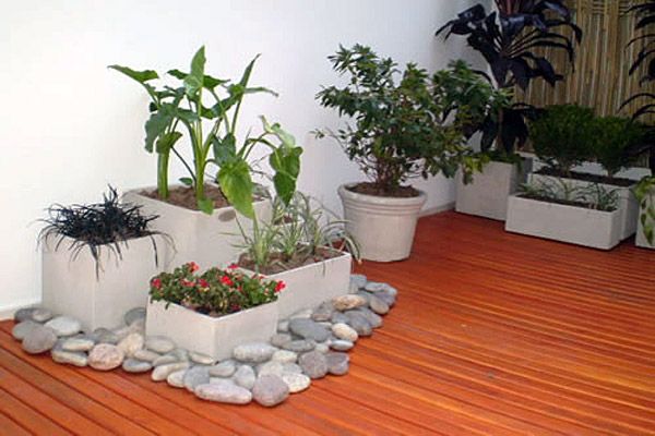 Interesting ideas that you can apply to have an indoor garden - grandgoldman.com