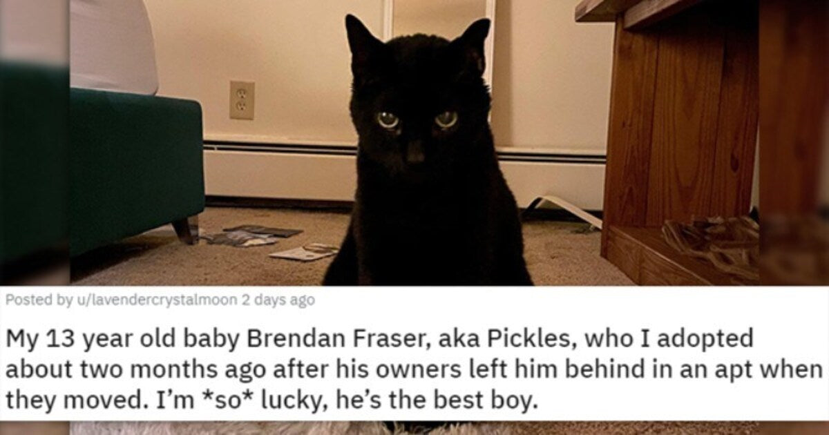 Meet The Newly Adopted Faces Who Just Found A Forever Home This Week