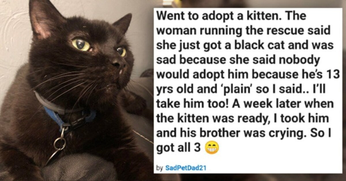 20 Adoption Stories To Give You Your Daily Dose Of Wholesomeness